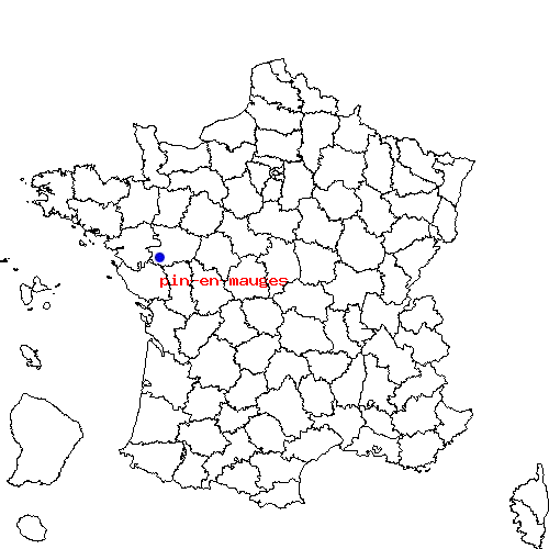 localisation sur le carte de pin-en-mauges 