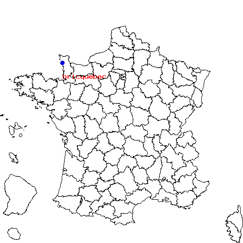 localisation sur le carte de bricquebec 