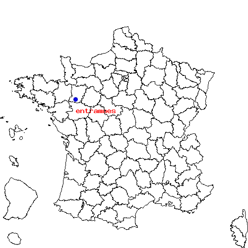 localisation sur le carte de entrammes 