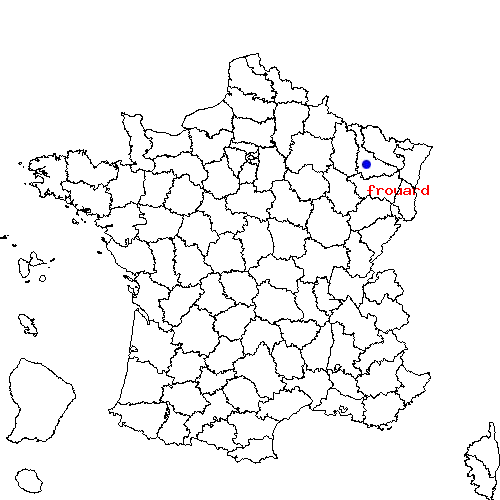 localisation sur le carte de frouard 