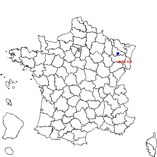 localisation sur le carte de maixe 