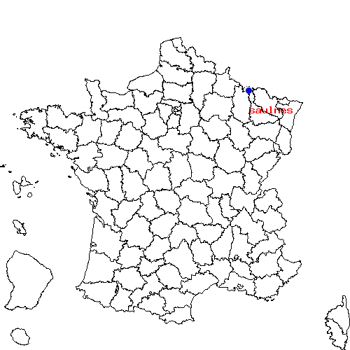 localisation sur le carte de saulnes 