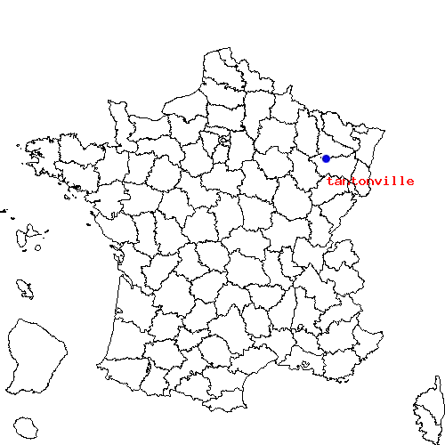 localisation sur le carte de tantonville 
