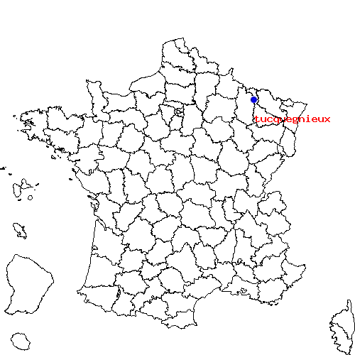 tucquegnieux sur la carte de France localisation sur le carte de tucquegnieux