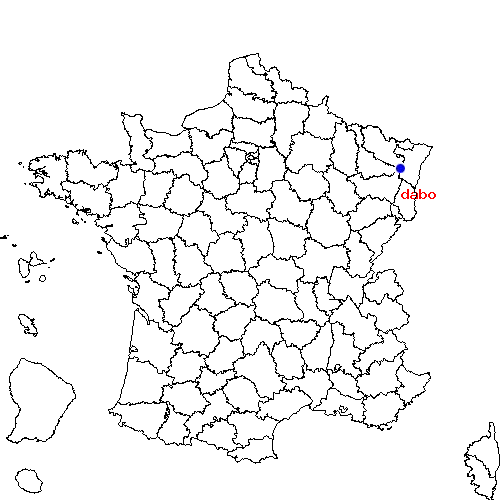 localisation sur le carte de dabo 