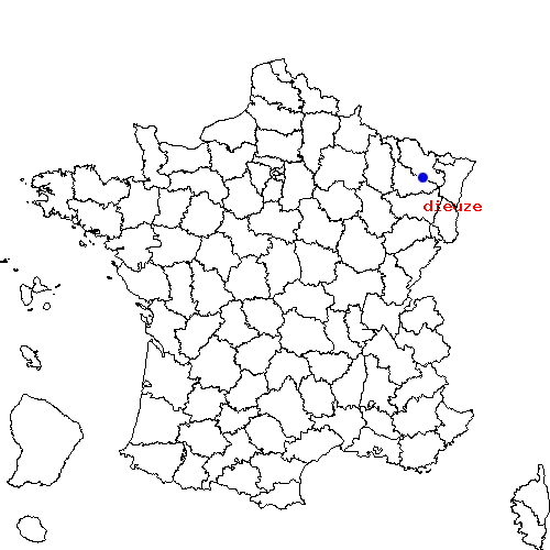 localisation sur le carte de dieuze 