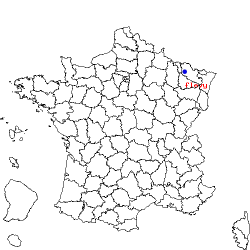 localisation sur le carte de flevy 