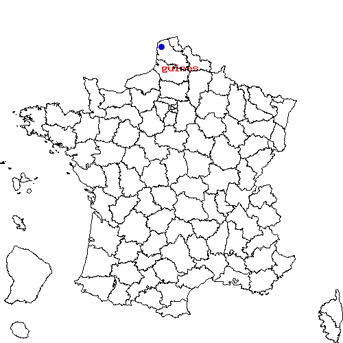 localisation sur le carte de guines 