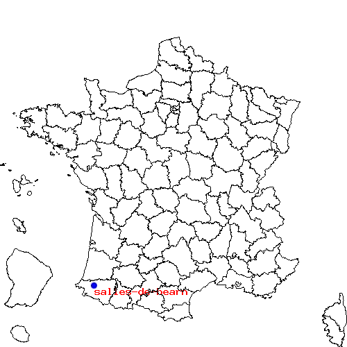 localisation sur le carte de salies-de-bearn 