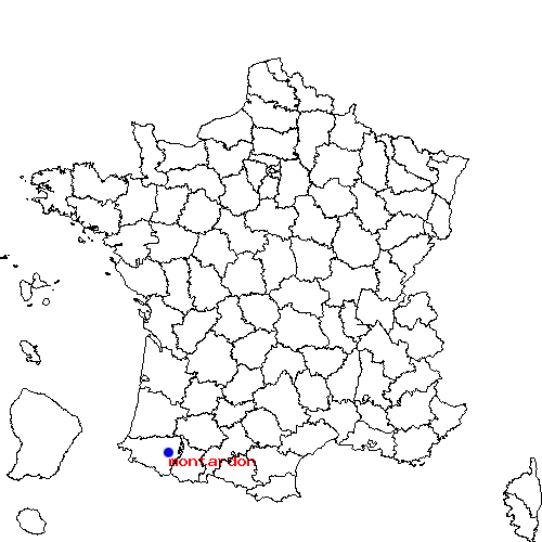localisation sur le carte de montardon 