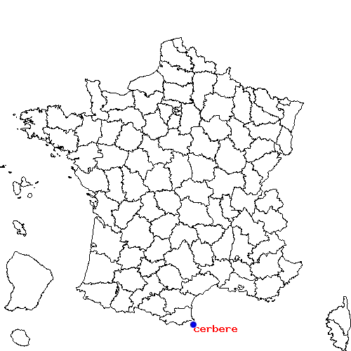 localisation sur le carte de cerbere 