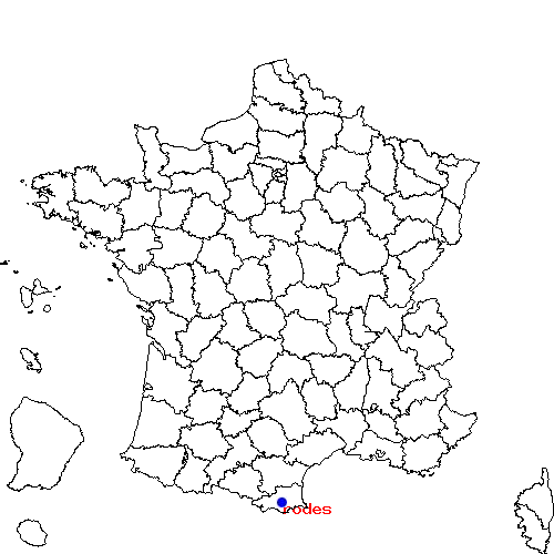localisation sur le carte de rodes 