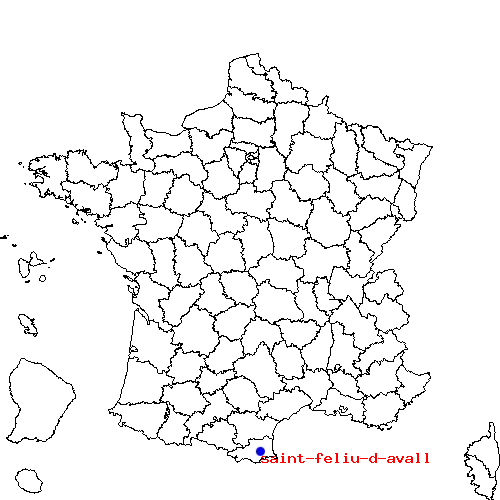 localisation sur le carte de saint-feliu-d-avall 