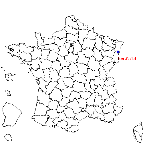 localisation sur le carte de benfeld 