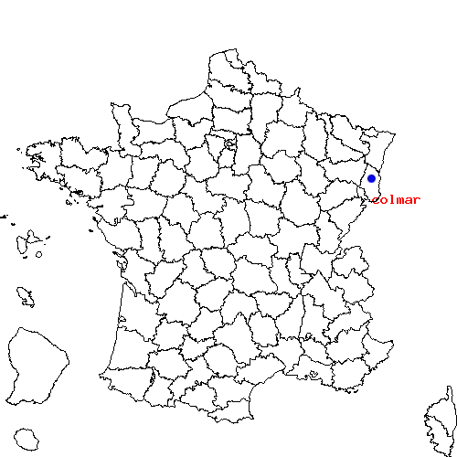 localisation sur le carte de colmar 