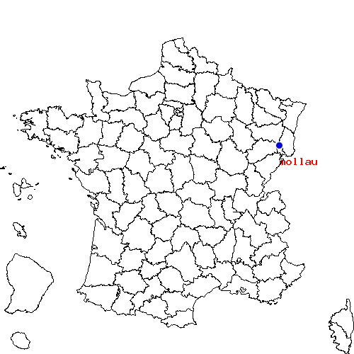localisation sur le carte de mollau 