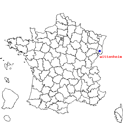 localisation sur le carte de wittenheim 