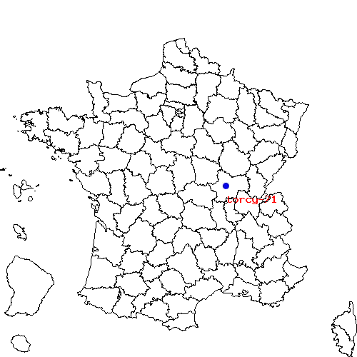 localisation sur le carte de torcy-71 