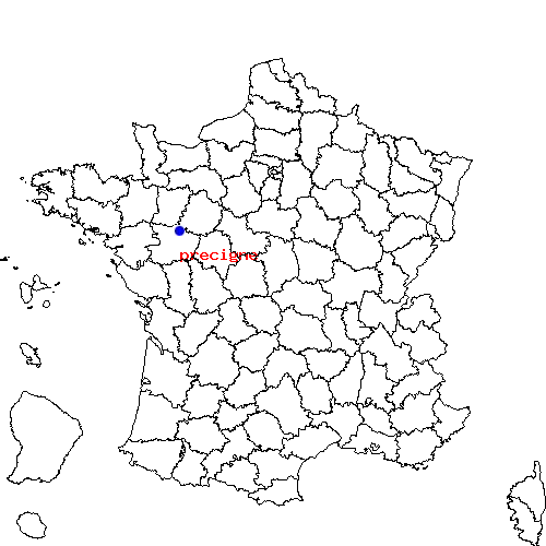 localisation sur le carte de precigne 