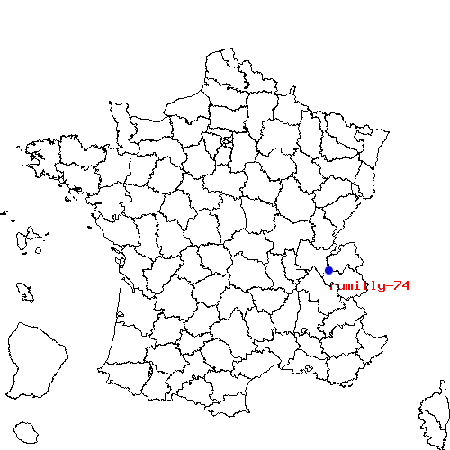 localisation sur le carte de rumilly-74 