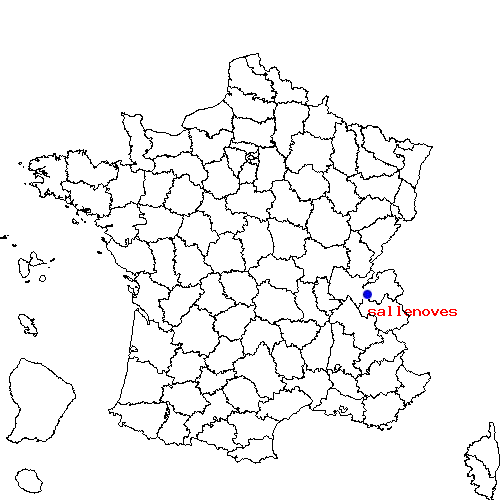 localisation sur le carte de sallenoves 