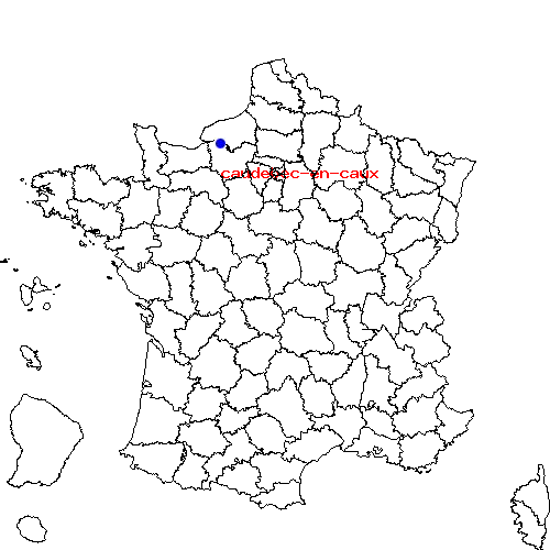 localisation sur le carte de caudebec-en-caux 