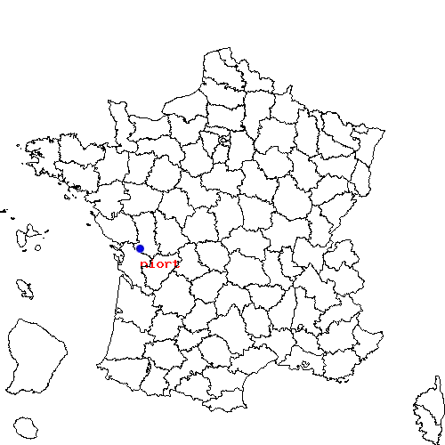 localisation sur le carte de niort 