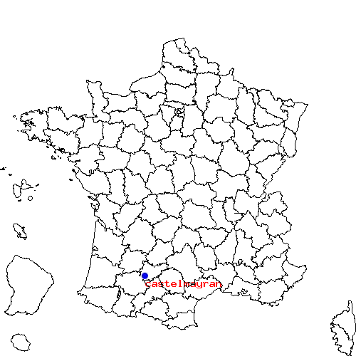 localisation sur le carte de castelmayran 