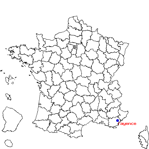 fayence sur la carte de France localisation sur le carte de fayence