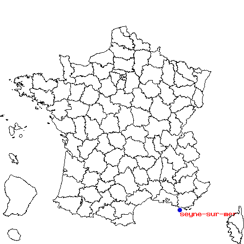 localisation sur le carte de seyne-sur-mer 