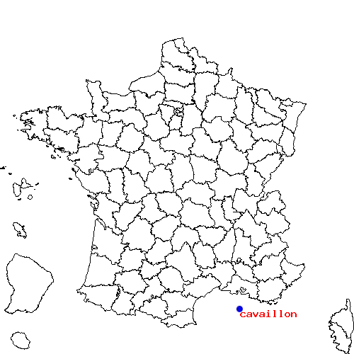 localisation sur le carte de cavaillon 