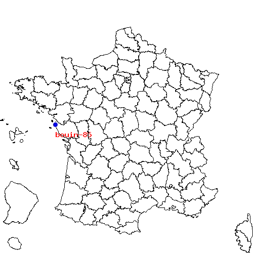 localisation sur le carte de bouin-85 