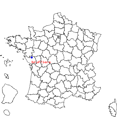 localisation sur le carte de bruffiere 