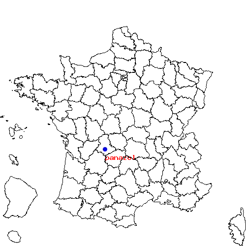 localisation sur le carte de panazol 