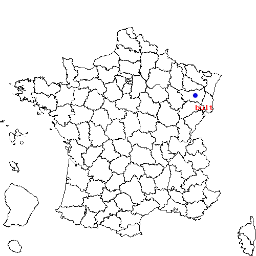 localisation sur le carte de bult 