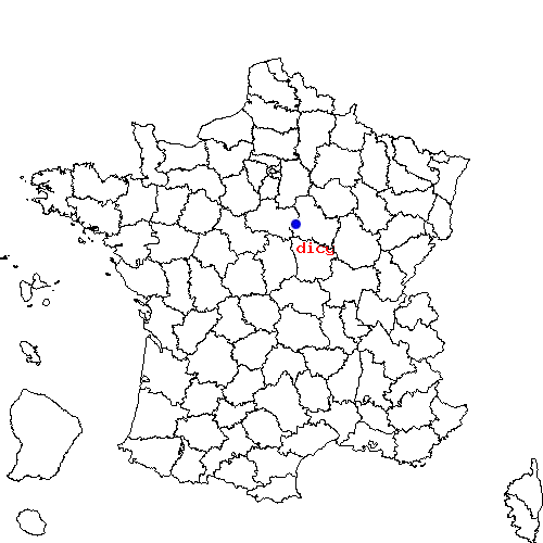 localisation sur le carte de dicy 