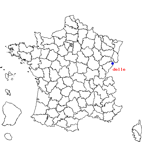 localisation sur le carte de delle 